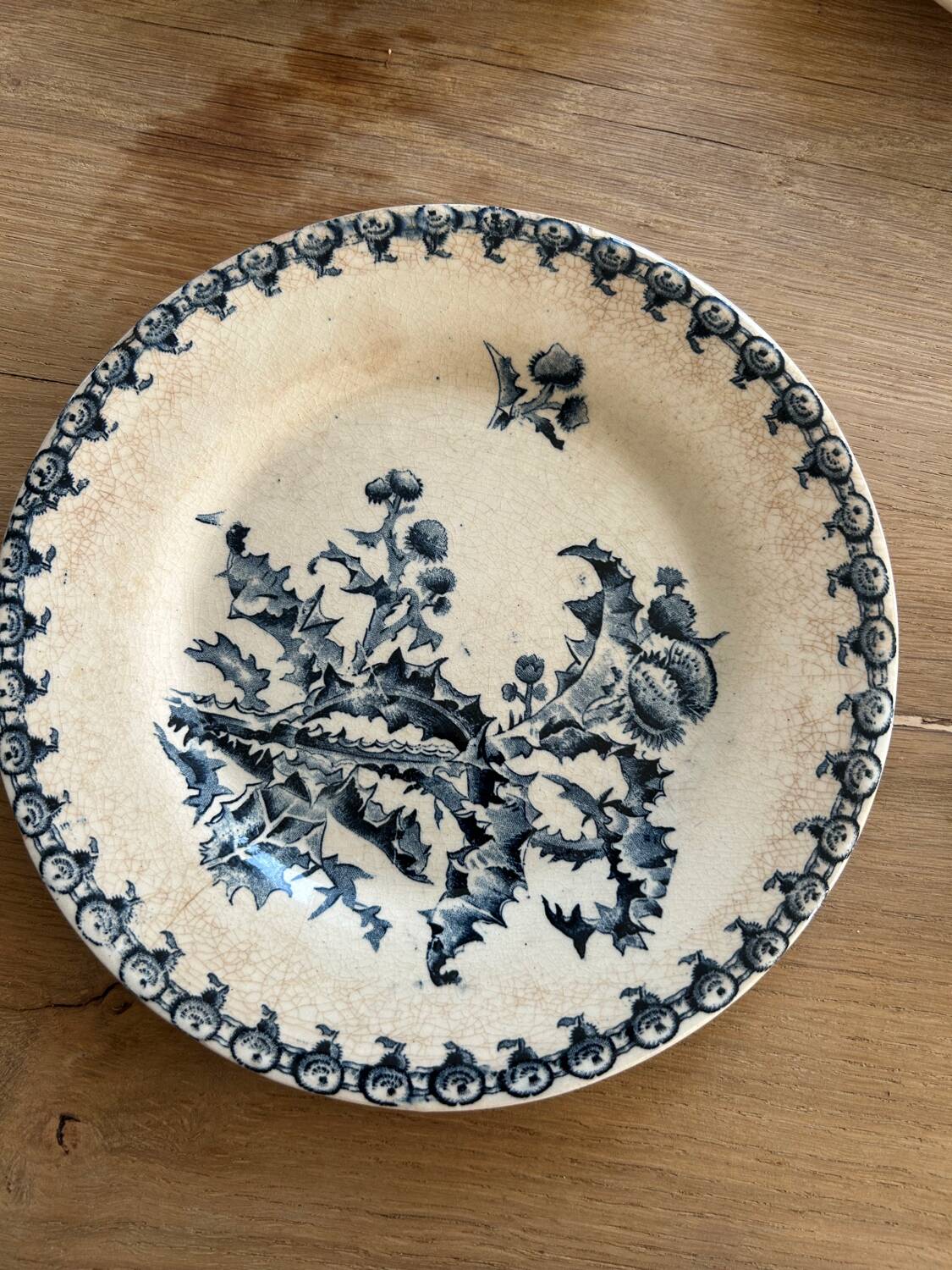 6 antique dessert plates, ironstone Gien Chardons