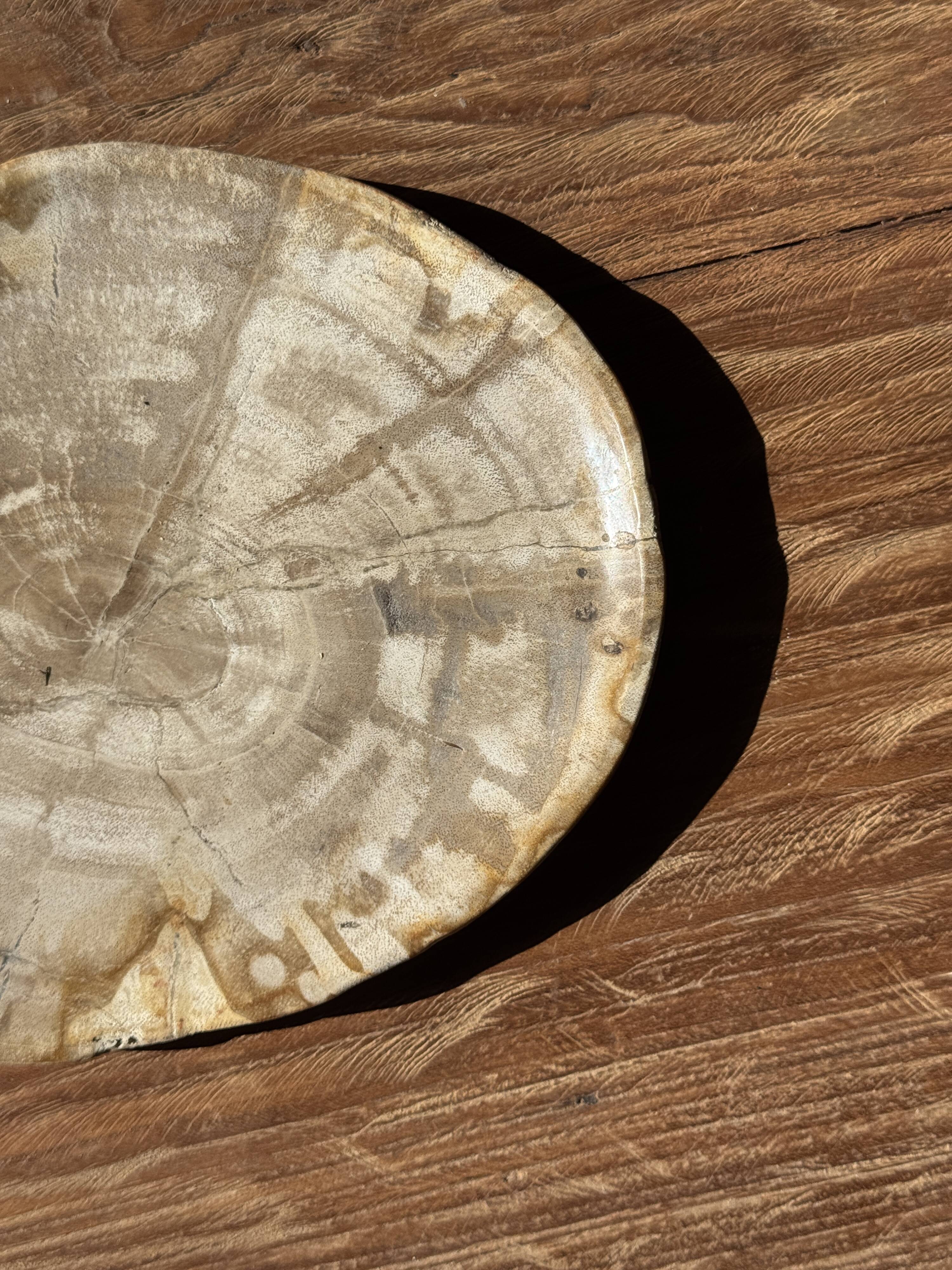 Small oval beige petrified wood dish or tray with speckled edges.