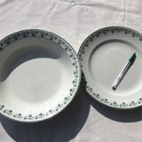 2 Plates Terre de Fer Moulin des Loups Georgette dark green diameter 28cm