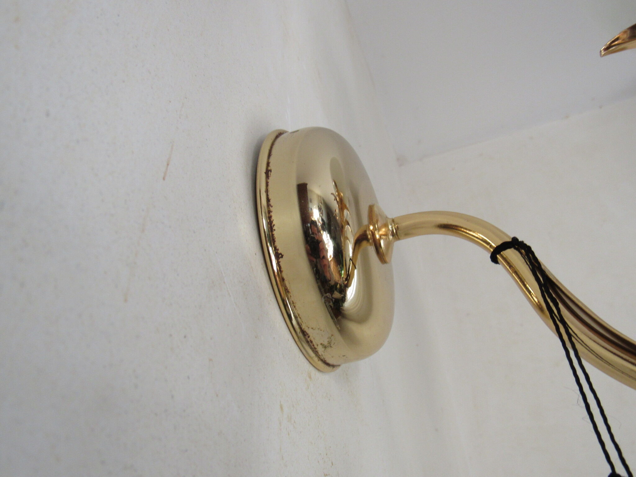 Luminaire wall lamp golden palm tree Sergio Terzani numbered