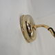Luminaire wall lamp golden palm tree Sergio Terzani numbered