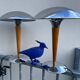 Paire de lampes paquebot vintage 90’