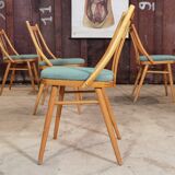 Lot of 4 chairs Antonin Suman