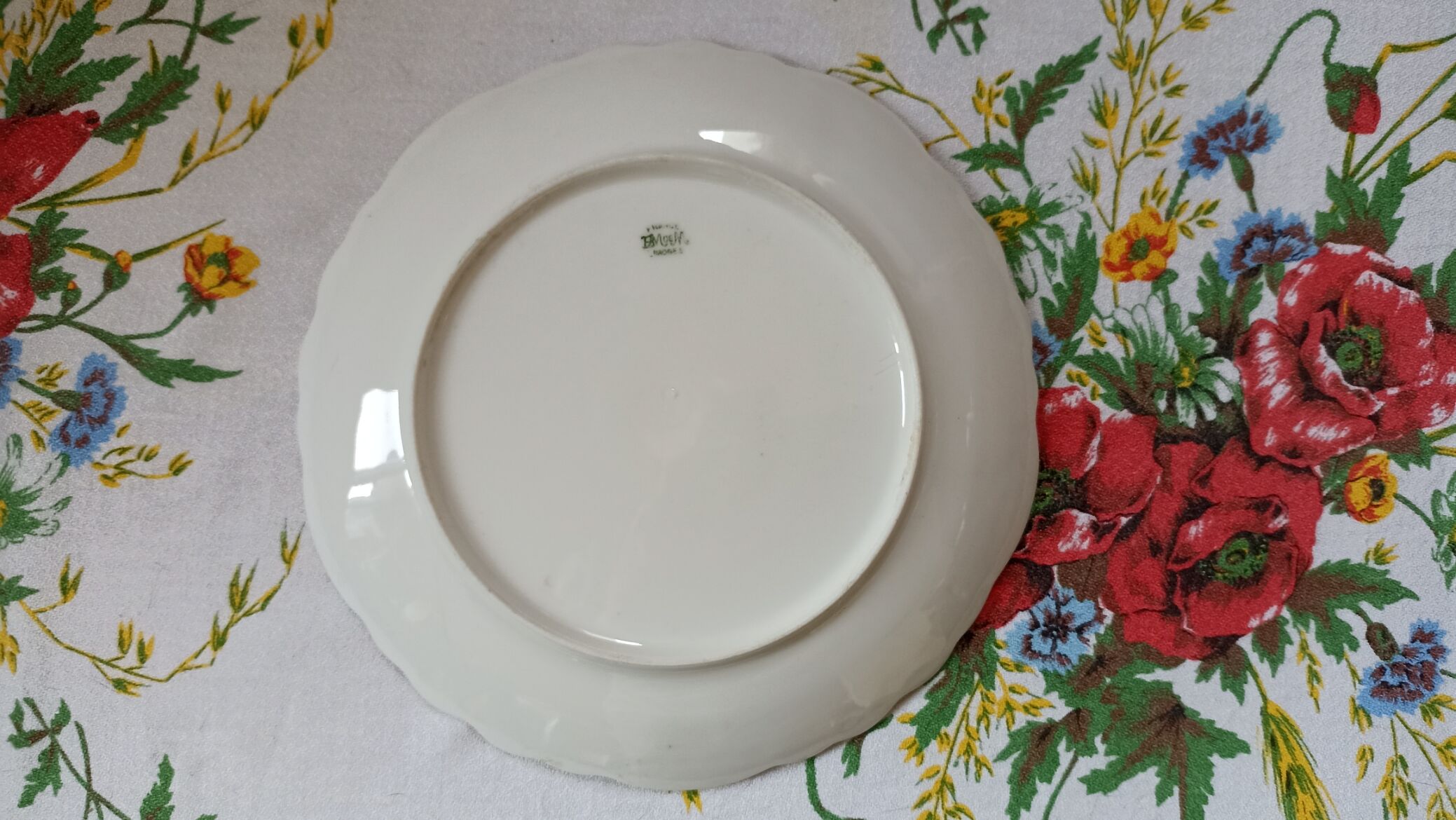 Plate n°1 - Balleroy, Mandavy and de Mavaleix 1904-1908 - fish -