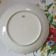 Plate n°1 - Balleroy, Mandavy and de Mavaleix 1904-1908 - fish -