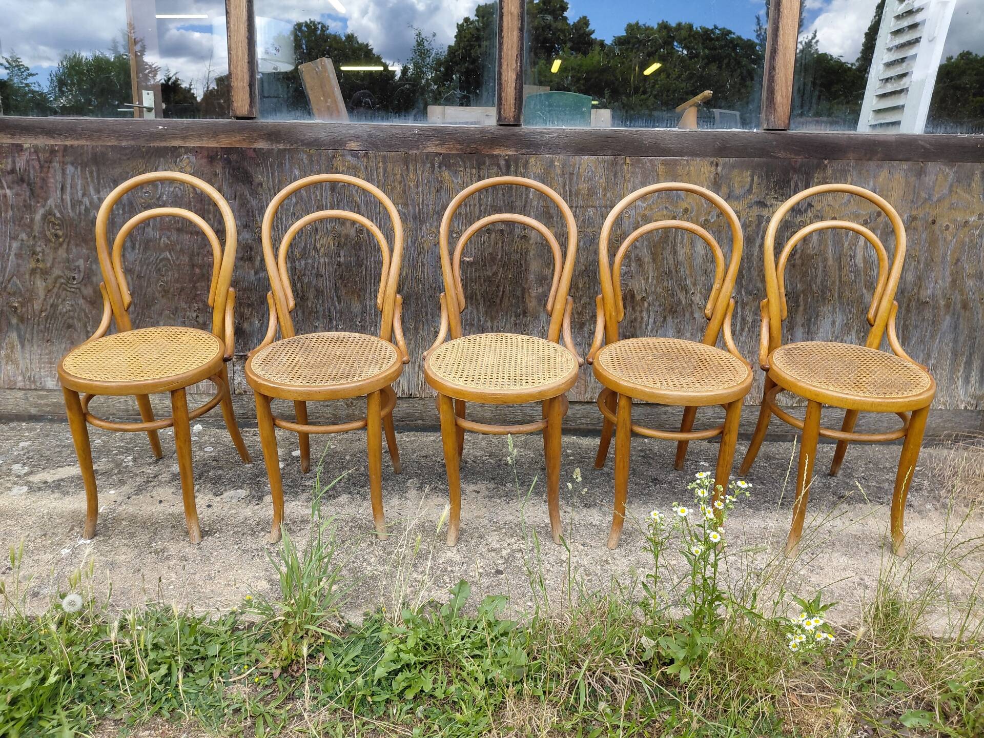 chaises Thonet à l'unité