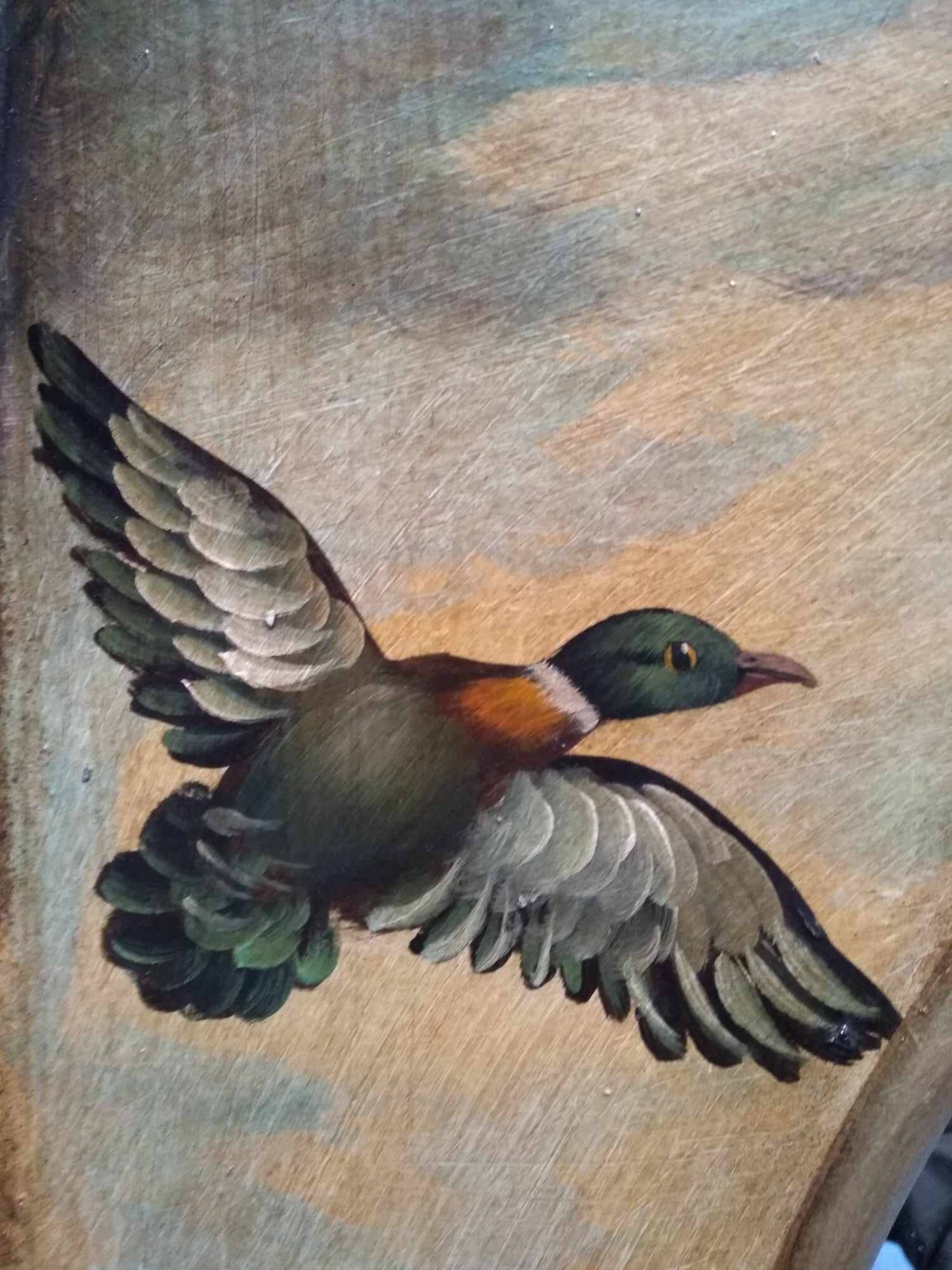 Oval mirror in duck pattern frame