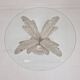 Italian "Flower" Coffee Table in Plaster With Facet Cut Round Plate, 1970s