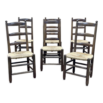 Series of 6 brutalist chairs from the 1950s - oak and straw seat