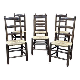 Série de 6 chaises brutalistes des années 1950 - chêne et assise paille