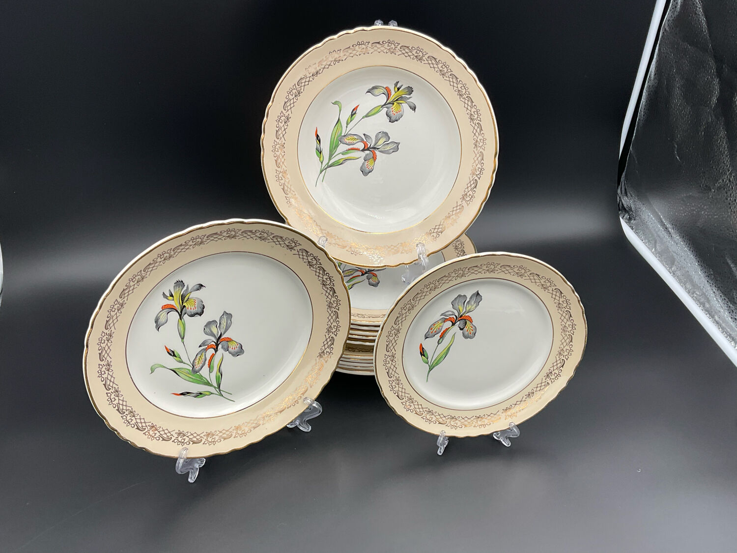 Porcelain plates signed moulin des loups 18 pieces