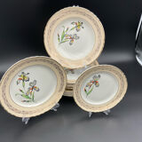 Porcelain plates signed moulin des loups 18 pieces