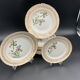 Porcelain plates signed moulin des loups 18 pieces