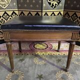 Bookstep ladder and Louis XVI bench