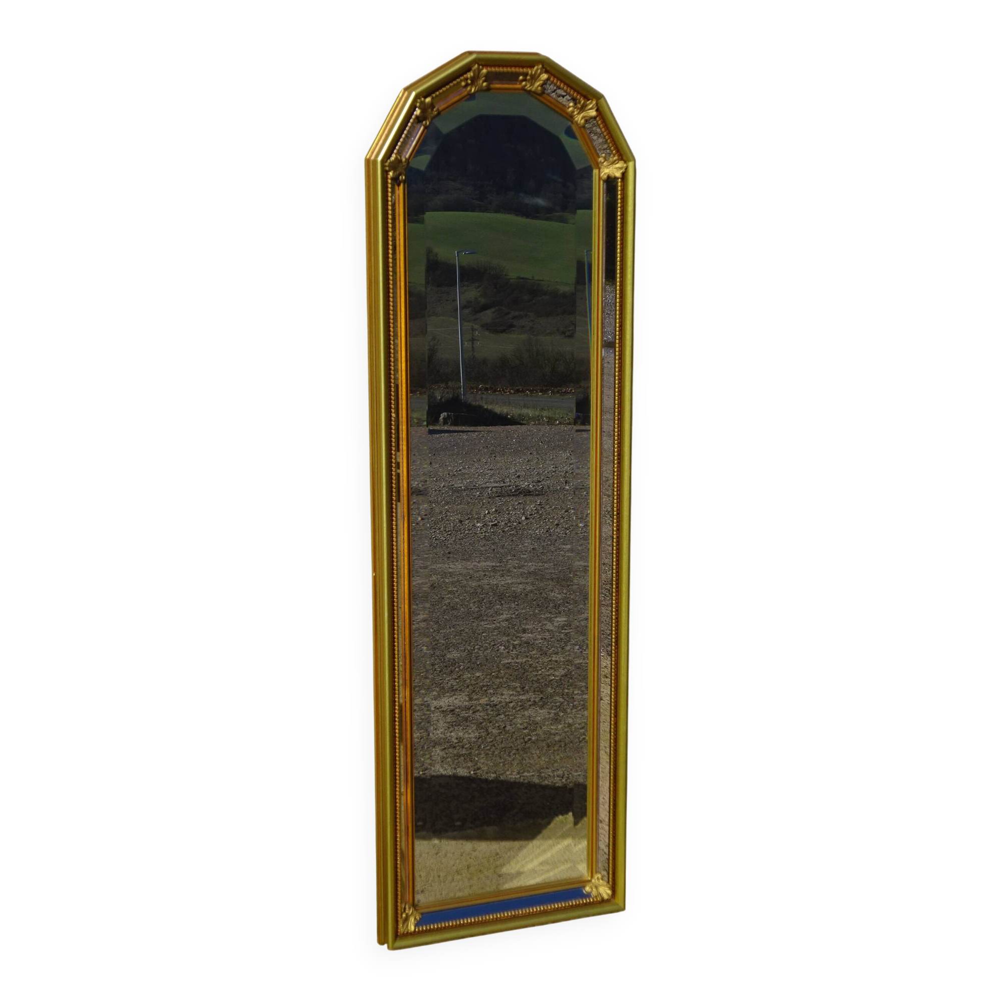 Miroir à parecloses, fleurs de lys, 99cmx30cm