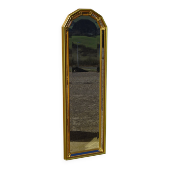 Miroir à parecloses, fleurs de lys, 99cmx30cm