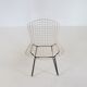 Harry Bertoia model 240 wire chair Knoll