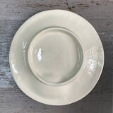 Asparagus barbotine plate