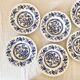 English hollow plates blue flowers
