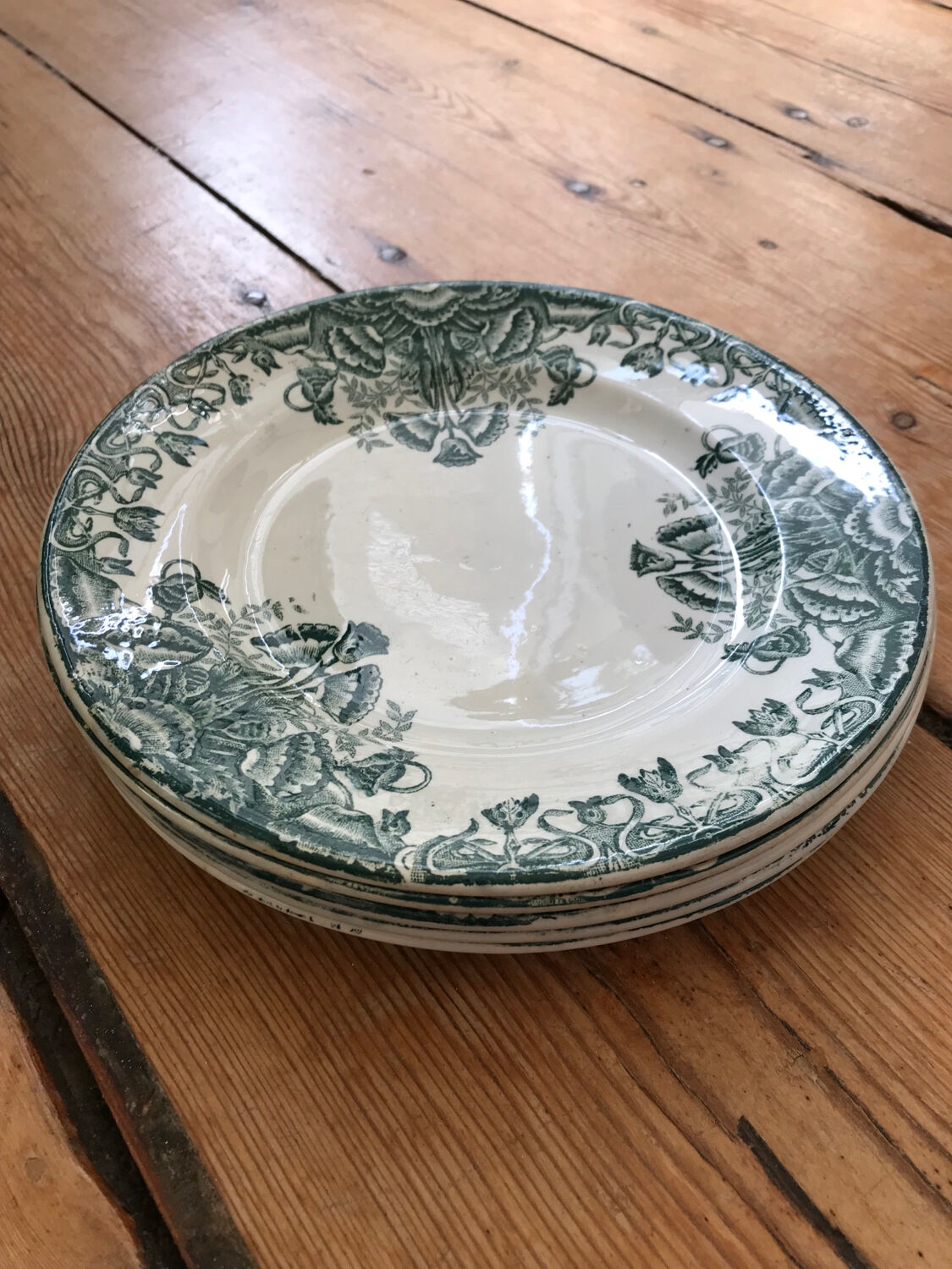Series of 5 antique flat plates