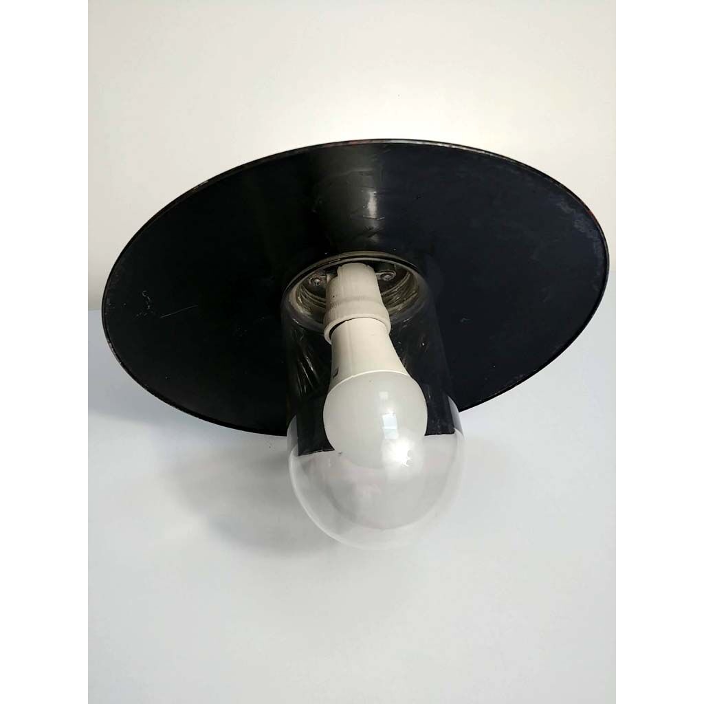 Ancient outdoor swan collar and glass globe sconce