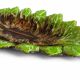 Mid-Century Majolica Centerpiece by Vallauris, Handmade, 1950s France