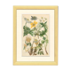 Botanical plate 1906: various anemones of the alps