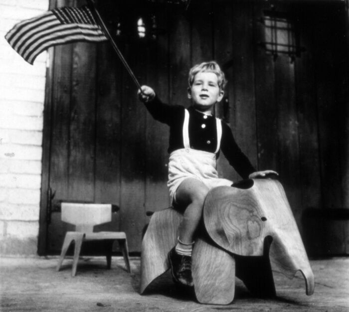 Elephant cherrywood Eames Chair