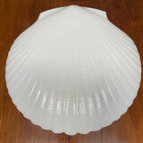 Shellfish plates