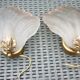 Pair of wall lamps in glass paste and brass, art deco, scallop shell by Mariner S.A.
