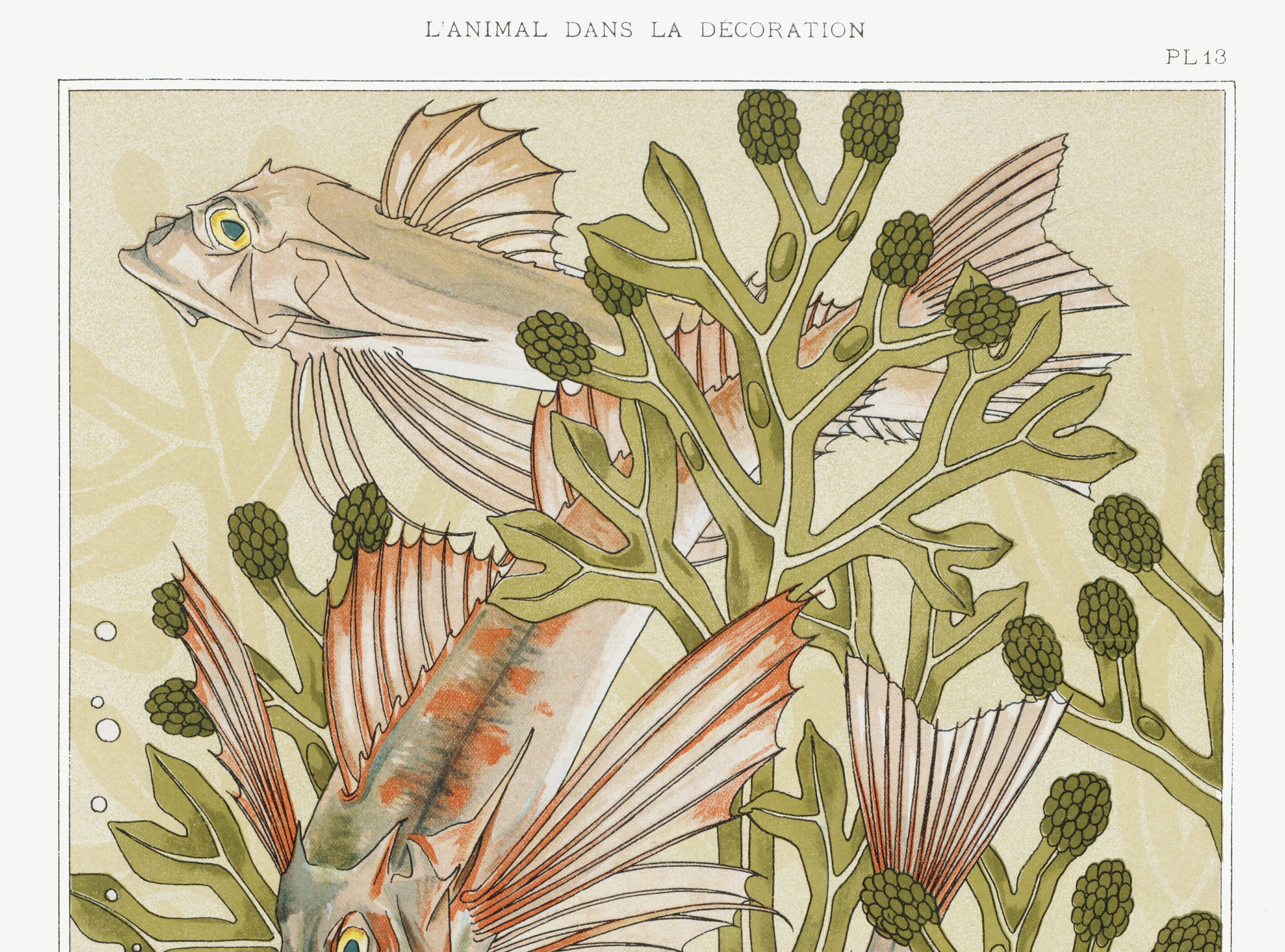 “Rouget” poster, after an Art Nouveau lithograph from 1897