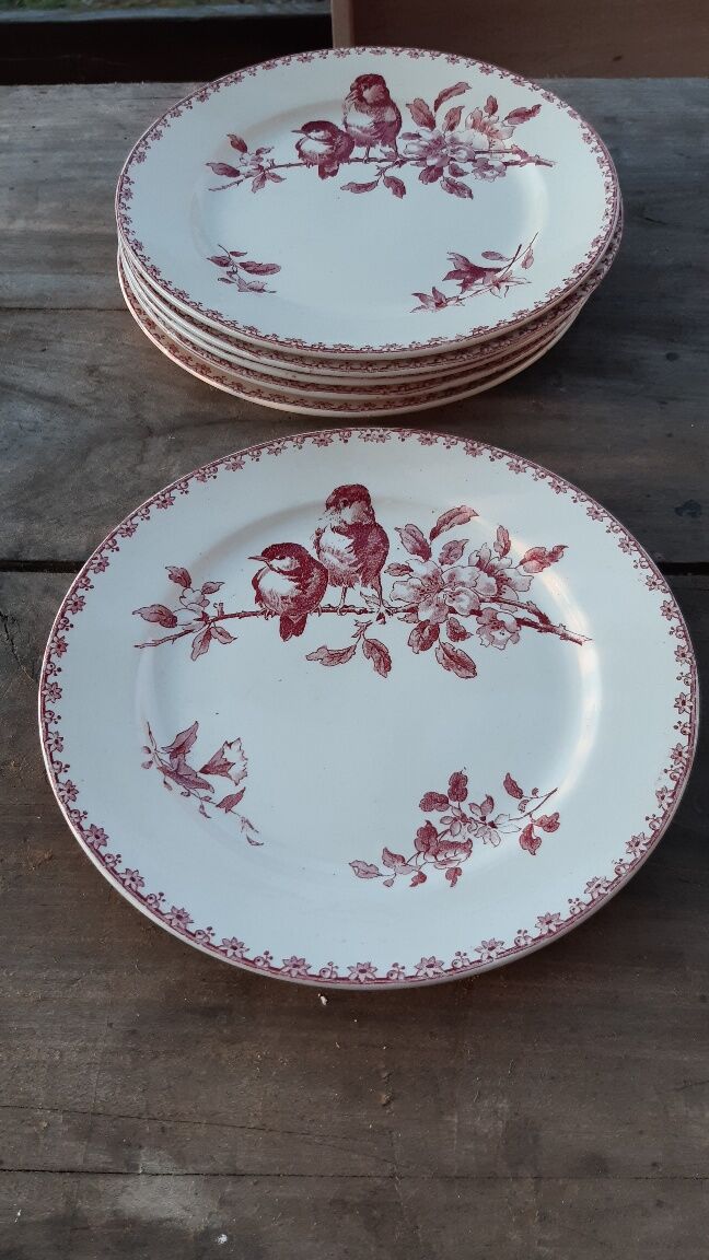 Set of 6 flat plates Sarreguemines Favorite
