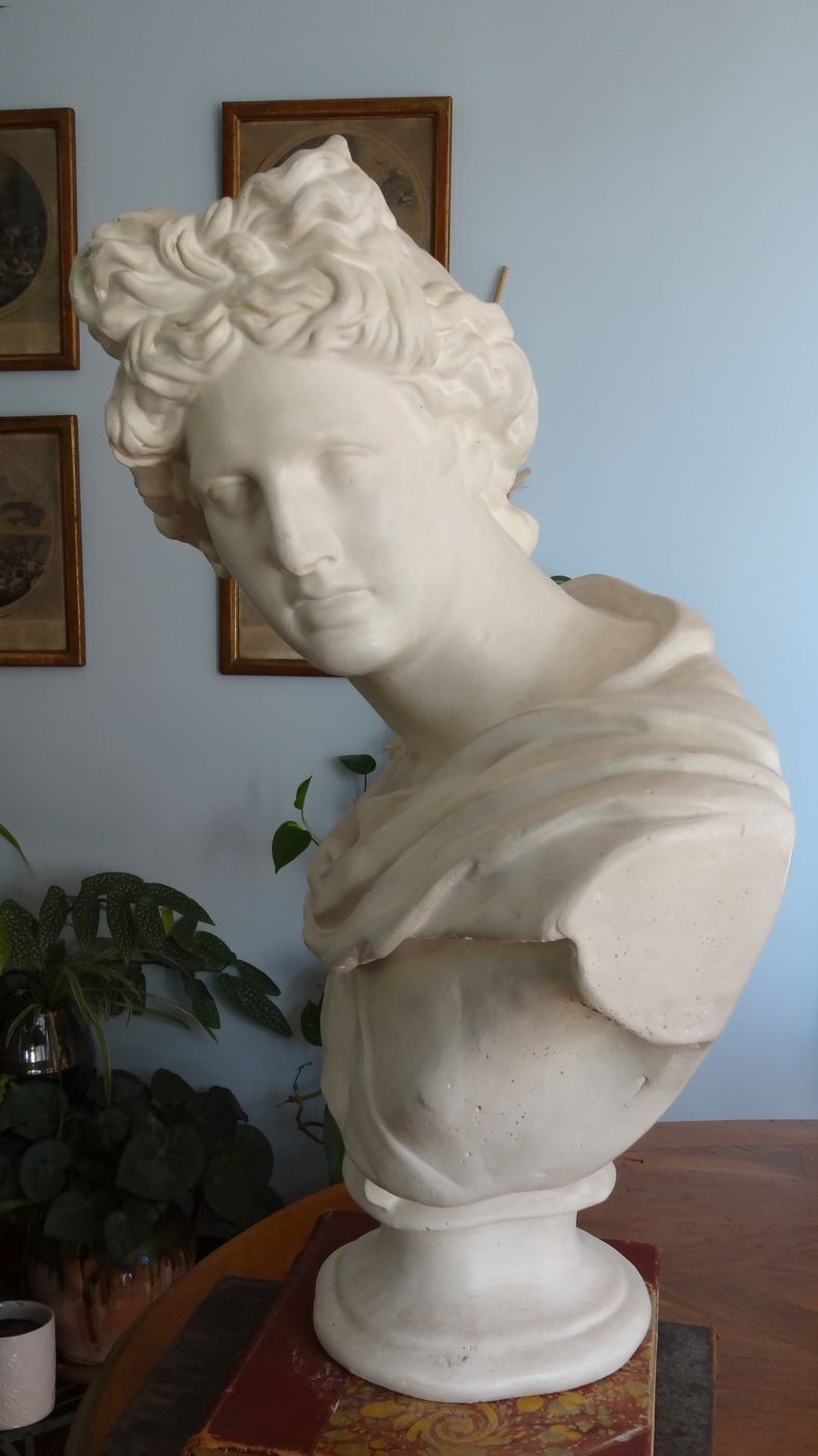 Plaster bust in the antique Apollo of the Belvedere, 70 cm