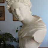 Plaster bust in the antique Apollo of the Belvedere, 70 cm