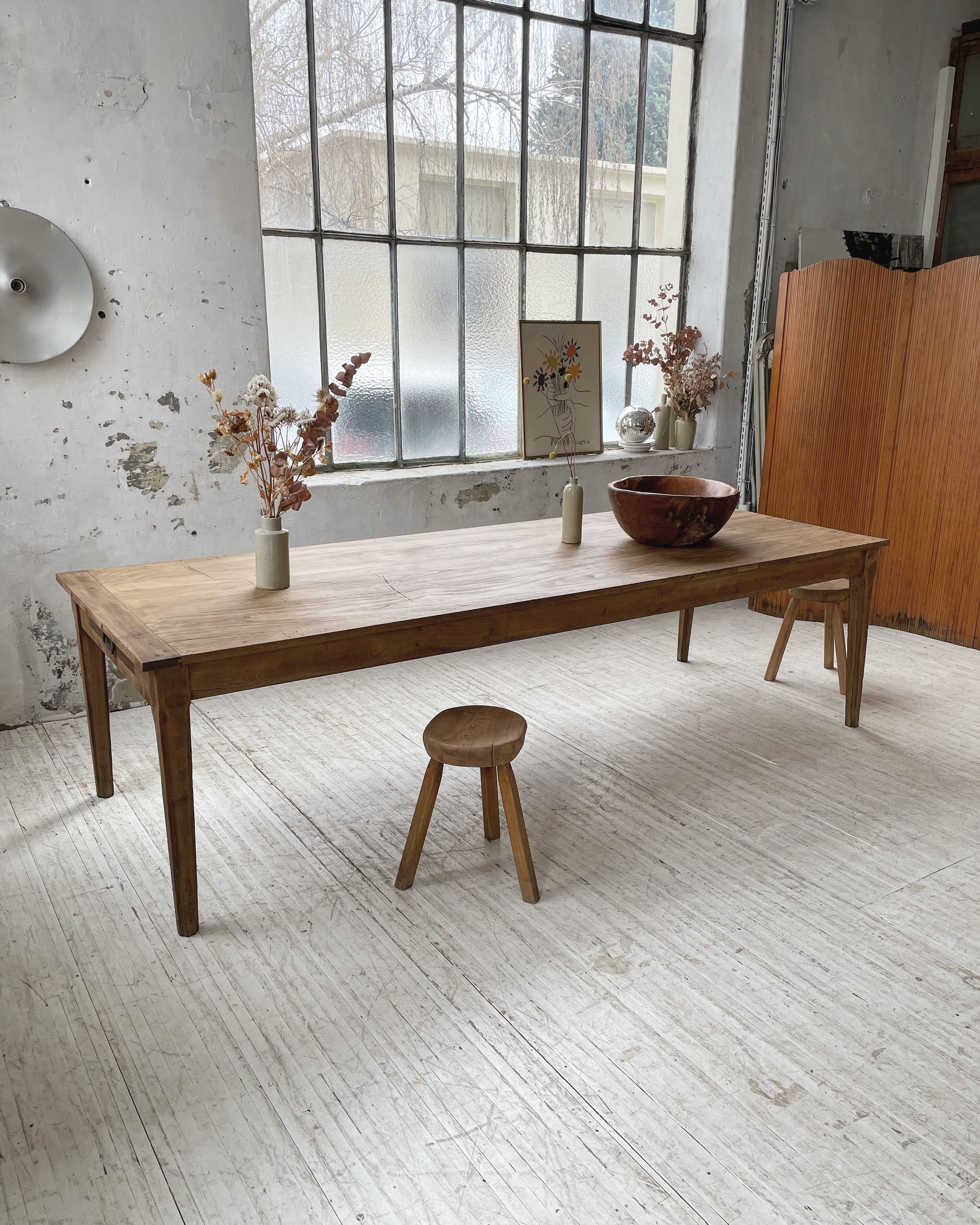 XL thuja root wooden dish