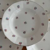 Digoin Sarguemines soup plates