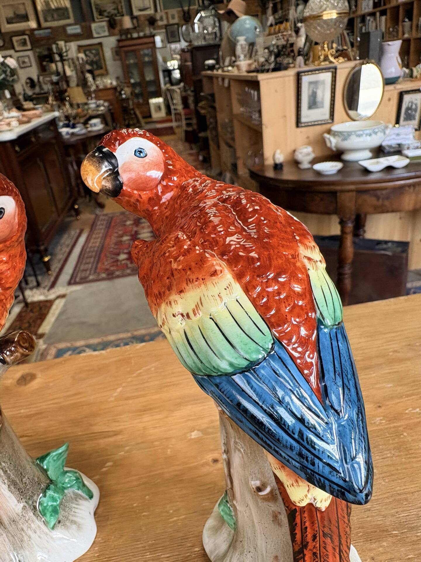Pair of porcelain parrots Sitzendorf – Germany