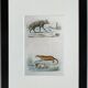 Original Zoological Plate " Hyena & Otter of Canada - Buffon 1940