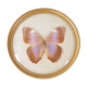Cadre papillon