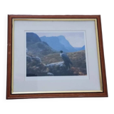 Lithograph Julian Friers – Peregrine Falcon at Glencoe – Framed painting