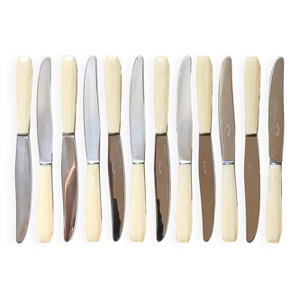 12 ivory & stainless steel bakelite knives in their case