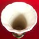 Vase cone decoration to the dabbling birds of Saint Clement