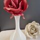 Vase soli flore