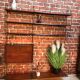 Wall mount year 50