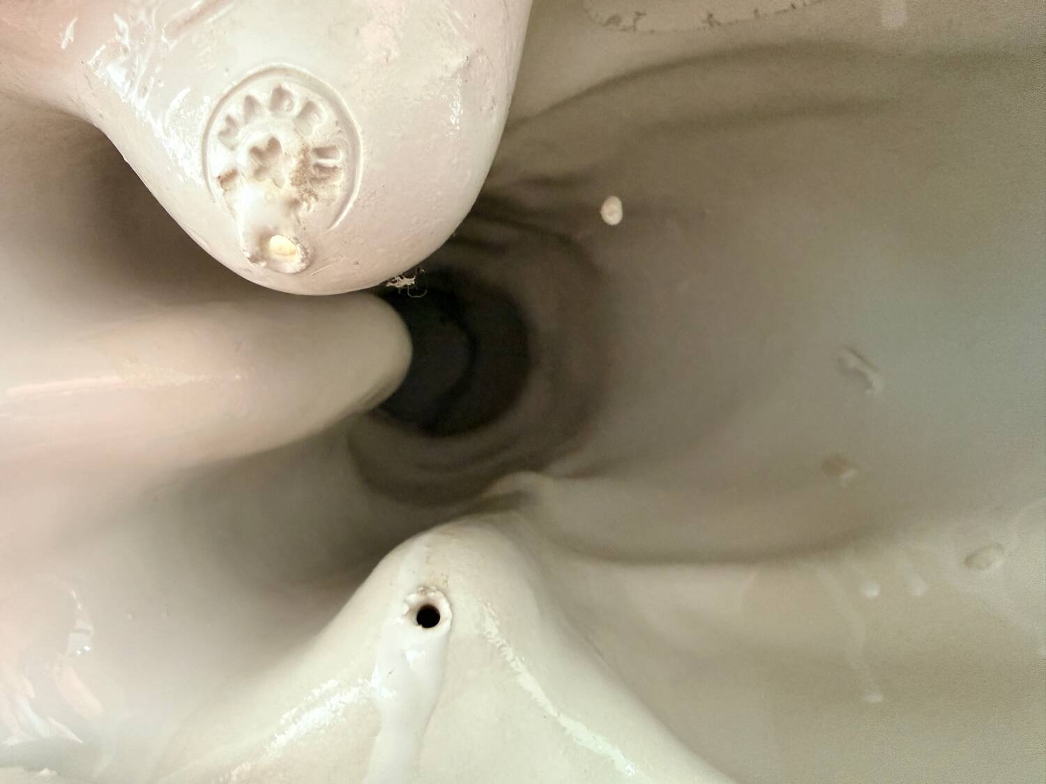 Leopard, Italian sculpture in glazed ceramic.