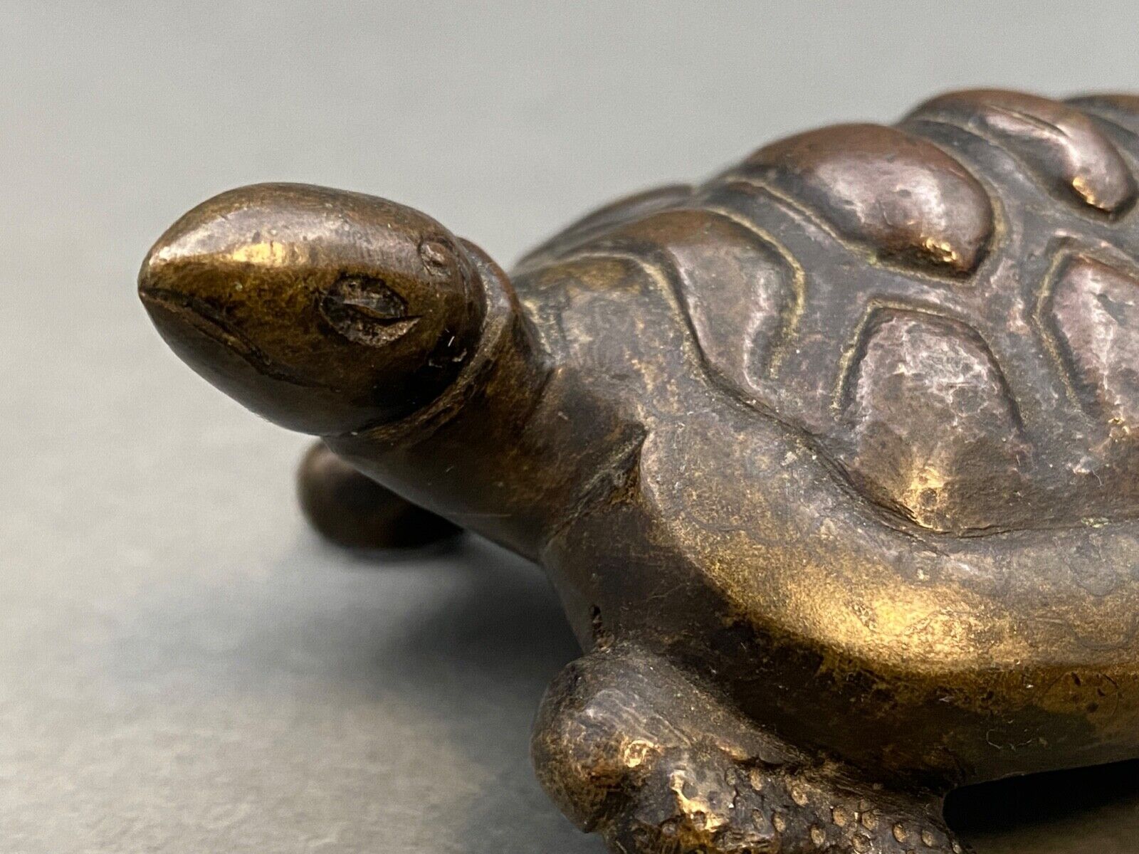Bronze turtle XIXth Chocolate patina Fine carving