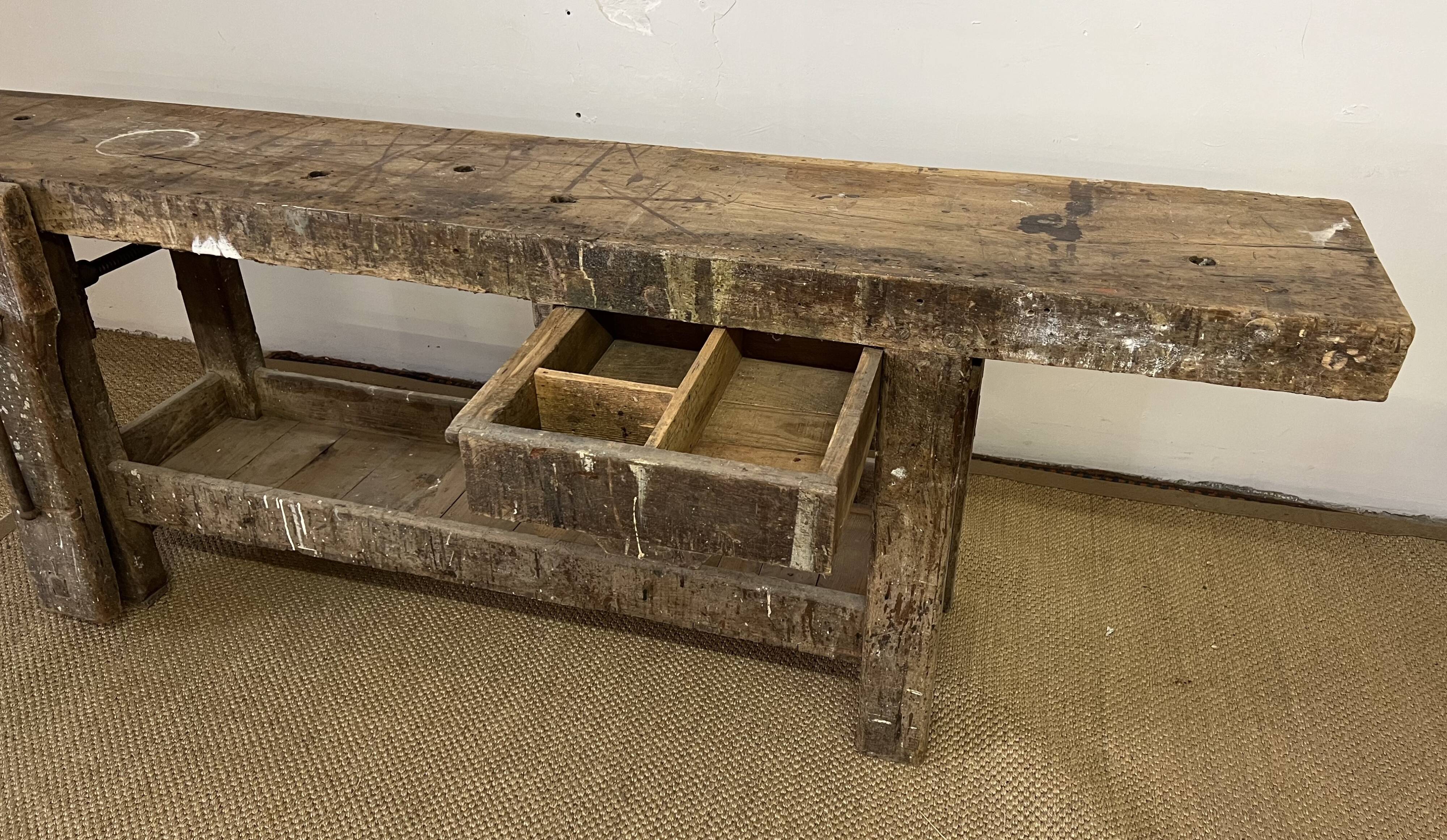 Established in old wood