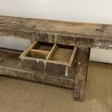 Established in old wood