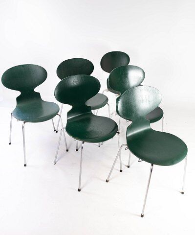 Set of five dark green Ant chairs, model 3101, designed by Arne Jacobsen, 1960s