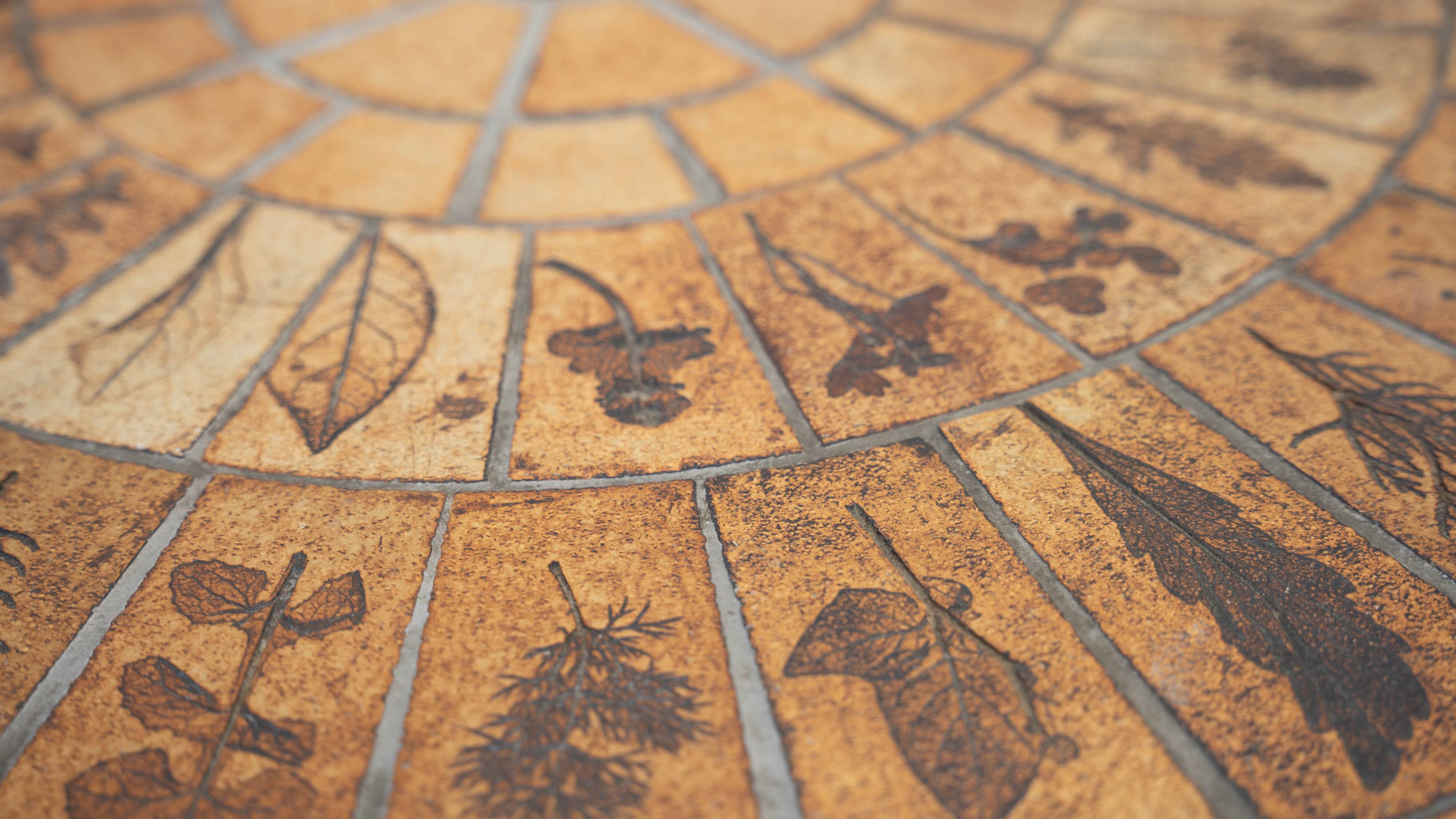 Round coffee table by Roger Capron